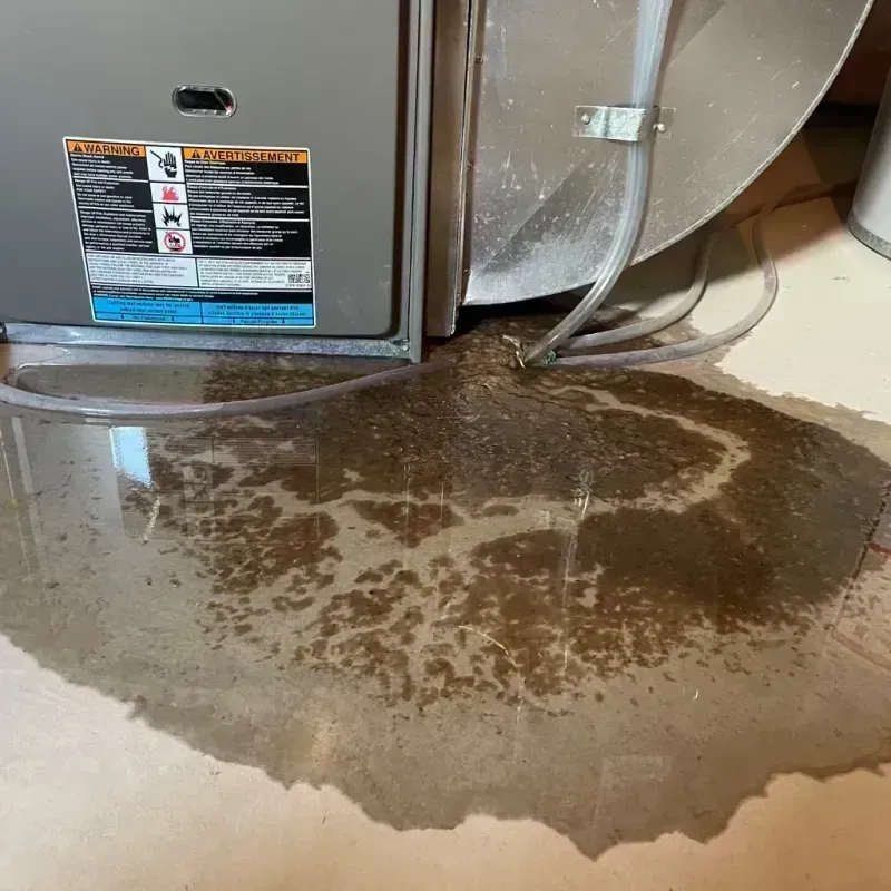 Appliance Leak Cleanup in Centreville, IL